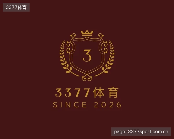解读3377体育团队